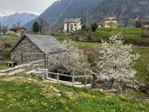 Giornata dell'Assemblea 12 aprile 2025